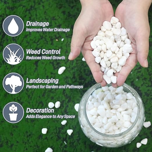 2Lb White Rocks for Plants, 1/4"-3/4" White Pebbles, Decorative Stones for Vases, Small Aquarium Gravel for Fish Tank Garden Rocks for Potted Plants & Home Decor
