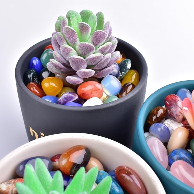 Polished Stone Set Ocean Jasper Crystals, 0.8" Handpicked Tumbled Gemstones Rocks, Pebbles for Reiki, Chakra, Healing, Home Decor