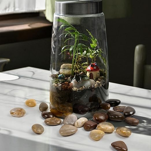 2lbs Pebbles for Indoor Plants, 1-2Inch Mixed Color Natural River Rocks for Aquarium, High Polished Decorative Stones for Vase Filler Fish Tank Landscaping Garden