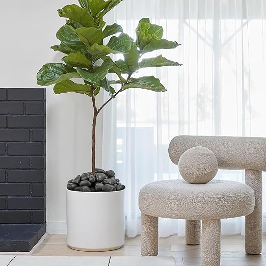 1-2 Inch River Rocks for Landscaping, 40lbs Big Black Pebbles, Hand-Picked Premium Stones for Garden Design, Fish Tank, Flower Pots