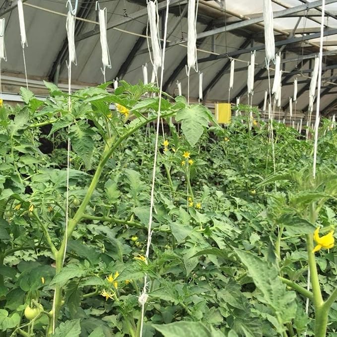 UCSAJI 10 PCS Tomato Support Hooks 10m Twine Vegetable Support Clips String Rope Plant Trellis for Climbing Plants Hooks to Prevent Tomatoes from Pinching or Falling Off (White)