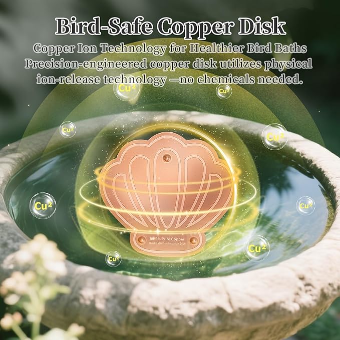 Bird Bath Copper Disk, 1pcs Shell Shaped 99.99% Pure Copper Cleaning Disc Plate for Physical Safe Water Purification All-Season for Outdoor Wildlife Bird Bowls Birdbaths Solar