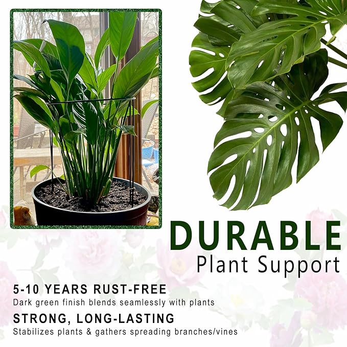Soupiar 6 Pack Threaded Lock Metal Plant Support Stakes - 25" H Tall Peony Cage, Reusable Detachable Garden Ring for Hydrangea/Rose Bush/Potted Flowers, Indoor Outdoor Heavy Duty (10" W)