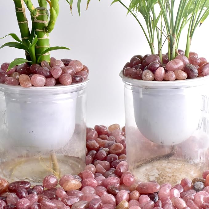 Polished Strawberry Quartz Crystals - 72 pcs Handpicked Tumbled Gemstones Rocks, Pebbles for Reiki, Chakra, Healing, Home Decor