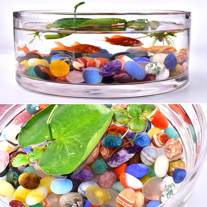 Polished Colorful Agate Crystal Stone Set - 72 Pcs, 0.5" 10 oz Handpicked Natural Tumbled Gemstones Rocks Quartz, Pebbles for Reiki, Chakra, Healing, Home Decor