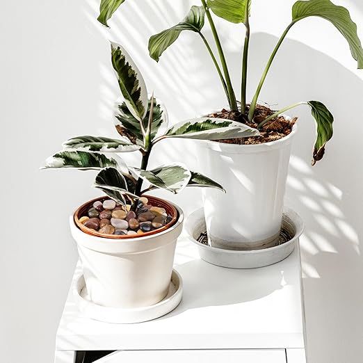 5lbs Pebbles for Indoor Plants, 1-2Inch Mixed Color Natural River Rocks for Aquarium, High Polished Decorative Stones for Vase Filler Fish Tank Landscaping Garden