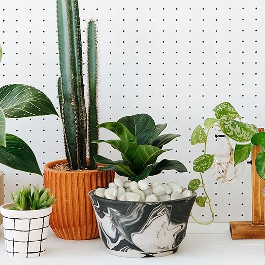 White River Rocks 20lbs, 1-2Inch Natural Pebbles for Plants, High Polished Decorative Stones for Aquarium Vase Filler Fish Tank Landscaping Garden