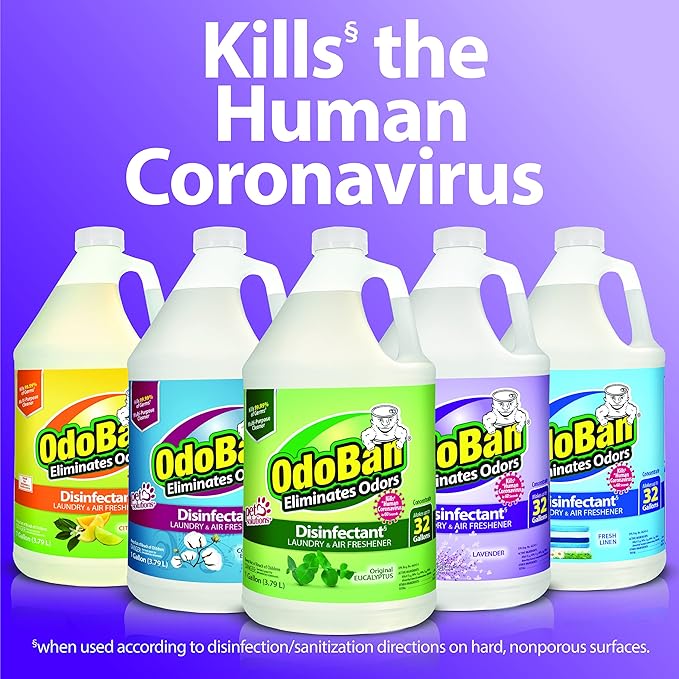 OdoBan Disinfectant Concentrate and Odor Eliminator, Made in the USA, Original Eucalyptus Scent, 1 Gallon