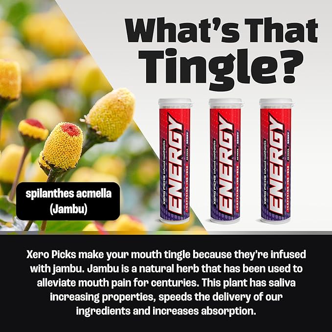 Xero Picks Energy Caffeine Flavored Toothpicks B12 for Focus & B6, 60 Picks (Pack of 3) (Berry) Sugar-Free Alternative to Energy Mints & Gum - Kosher