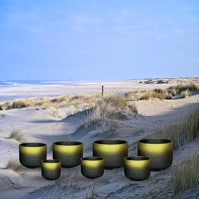 Ryan Dvan Crystal Singing Bowl Set 7-12 Inch, Black with Gold Frosted Quartz Sound Therapy Bowls with Mallets, O-Rings & 2 Carrying Cases — Chakra Healing, Reiki, Yoga, Meditation, Energy Balancing