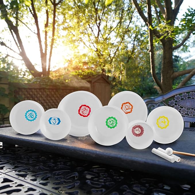 Ryan Dvan 432Hz 7-12 Inch 7 Chakra Design Crystal Singing Bowl Set Frosted Quartz Crystal Sound Therapy Kit with Mallets 2 Cases O-Ring for Yoga Meditation Energy Balancing Reiki Healing