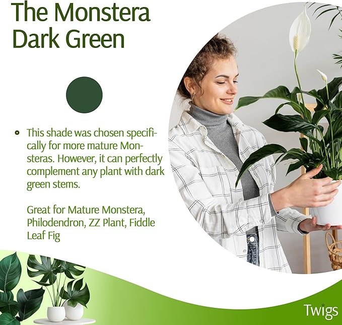 Plant Support Stakes for Indoor & Outdoor Use, Durable Trellis Alternative for Climbing & Potted Plants, Houseplant Stem Holder Structures - Monstera (Dark Green), 10 Pack, 22" L, Original