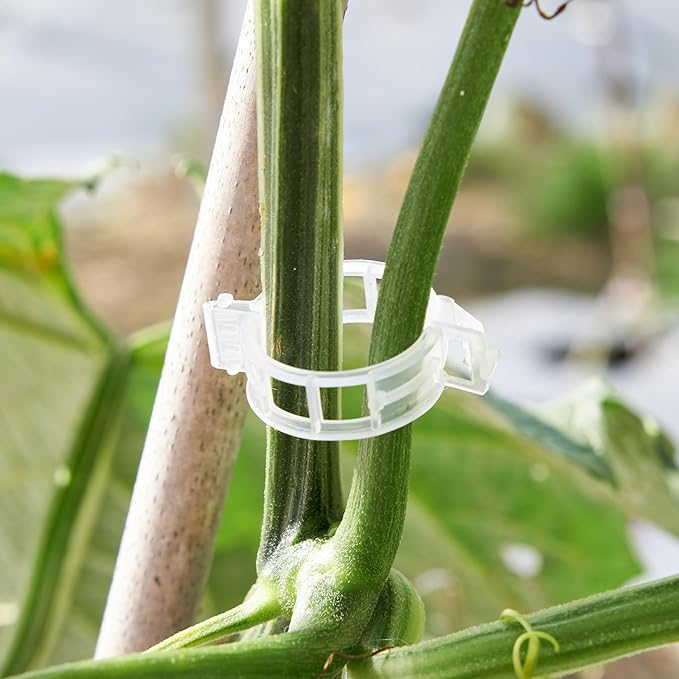 CIQIYO 200 Pcs Plant Support Clips,Plastic Clips for Securing Plants,Tomato Vine Clips,Plant Fixing Clips,Garden Clips for Climbing Plants,Grape and Vine Vegetables (200, White)
