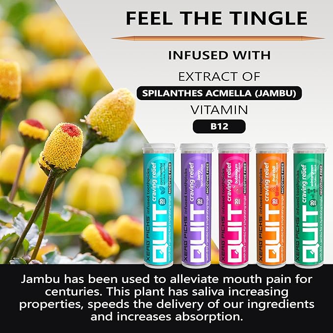 Xero Picks Infused Flavored Toothpicks to Help Quit Smoking - Nicotine Free (Variety Pack, 20 Count (Pack of 5)) Non-GMO Kosher Vegan