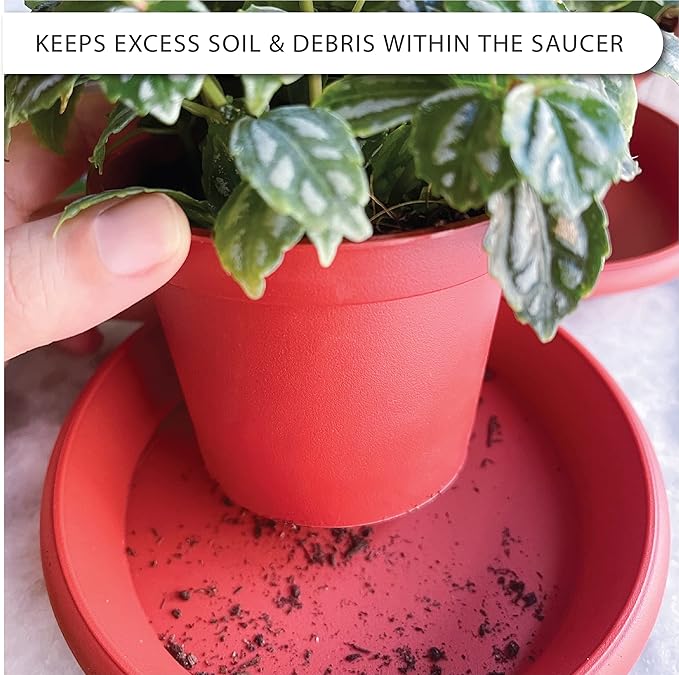 LOOPSEED Plant Saucer 6 Pack Drip Trays Planter Pot Base Heavy Duty Plastic Drainage Tray for Indoor Houseplants Outdoor Garden 5 inch 8 inch 11 inch 3 Sizes 2 Each Round (Terracotta)