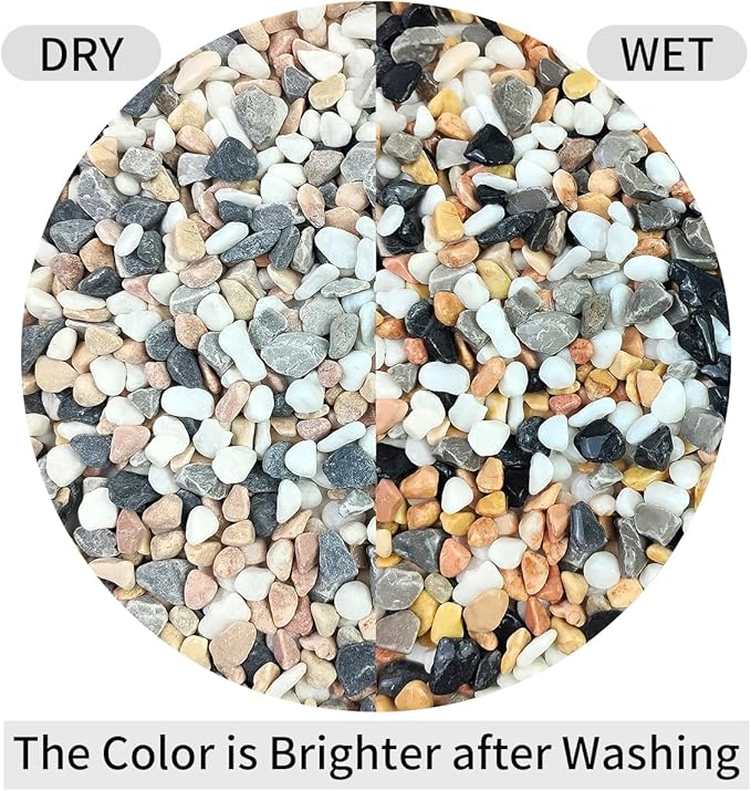 FANTIAN 2 lbs Succulent and Cactus Pebbles Gravel, 3/8 Inch Mixed Color Decorative River Rocks for Plants Indoor, Vases, Terrarium, Potted Top Dressing and Outdoor Decorative Stones