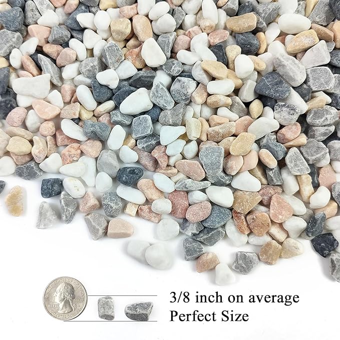 FANTIAN 2 lbs Succulent and Cactus Pebbles Gravel, 3/8 Inch Mixed Color Decorative River Rocks for Plants Indoor, Vases, Terrarium, Potted Top Dressing and Outdoor Decorative Stones