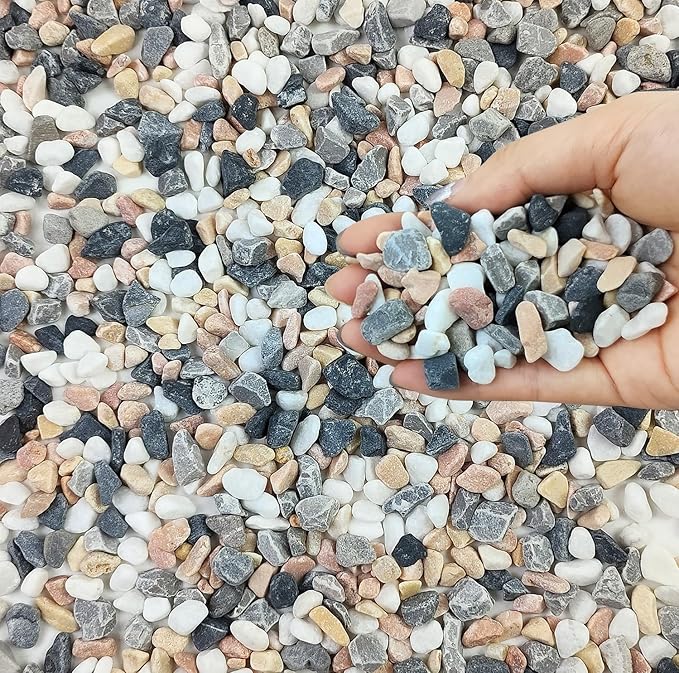 FANTIAN 2 lbs Succulent and Cactus Pebbles Gravel, 3/8 Inch Mixed Color Decorative River Rocks for Plants Indoor, Vases, Terrarium, Potted Top Dressing and Outdoor Decorative Stones