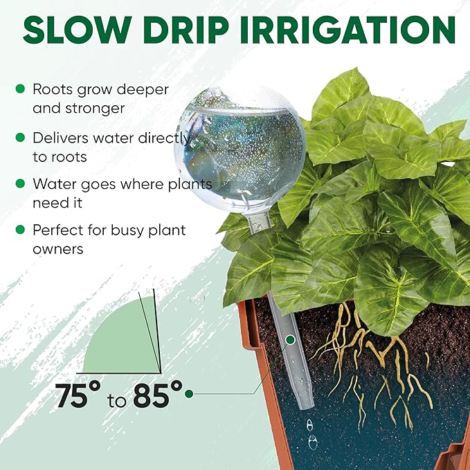 Mission Gallery Clear Plant Watering Globes Set of 6 - Large Self Watering Globes for Indoor & Outdoor Plants - Automatic, Glass Watering Bulbs for Daily Use, Plant Watering Devices