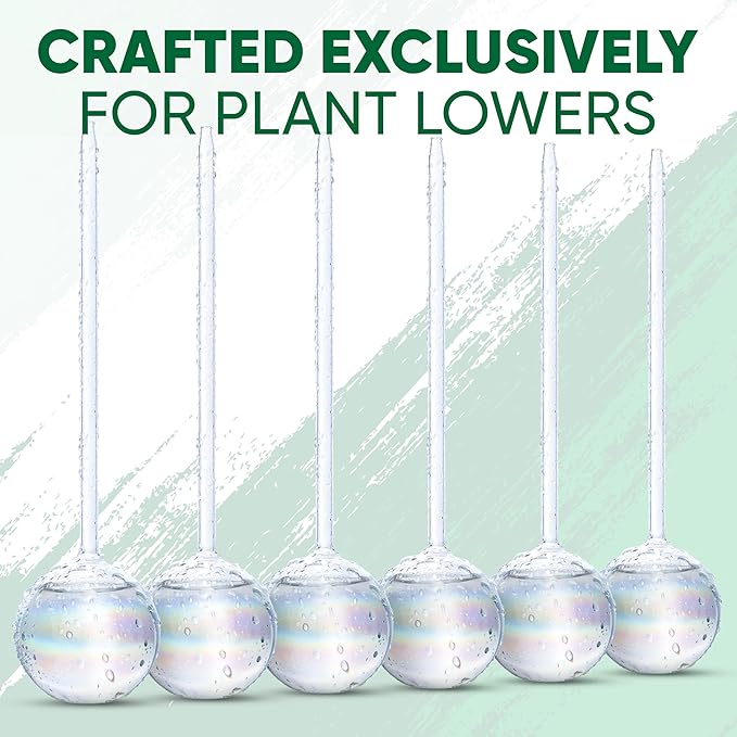 Mission Gallery Clear Plant Watering Globes Set of 6 - Large Self Watering Globes for Indoor & Outdoor Plants - Automatic, Glass Watering Bulbs for Daily Use, Plant Watering Devices