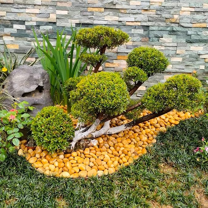 40lbs Yellow River Rocks for Landscaping, 1-2 Inch Natural Pebbles for Indoor Plants, High Polished Decorative Stones Garden Outdoor and Indoor DIY Vase Filler Fish Tank Aquariums