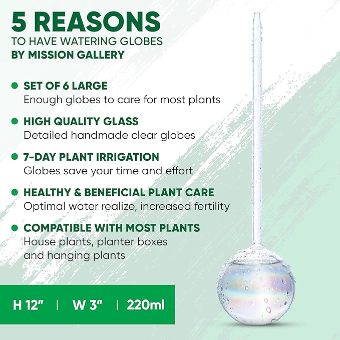 Mission Gallery Clear Plant Watering Globes Set of 6 - Large Self Watering Globes for Indoor & Outdoor Plants - Automatic, Glass Watering Bulbs for Daily Use, Plant Watering Devices