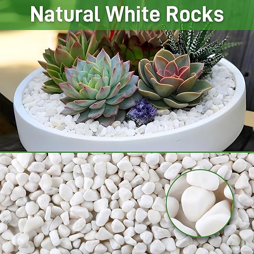 12Lb White Rocks for Plants, 1/4"-3/4" White Pebbles, Decorative Stones for Vases, Small Aquarium Gravel for Fish Tank Garden Rocks for Potted Plants & Home Decor