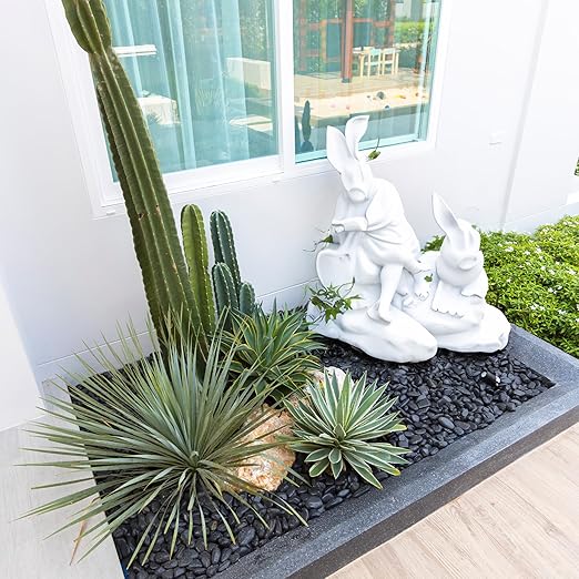 5lbs Black Pebbles for Indoor Plants, 1-2Inch Natural River Rocks for Aquarium, High Polished Decorative Stones for Vase Filler Fish Tank Landscaping Garden