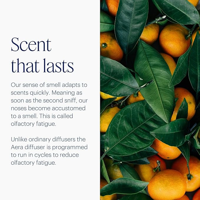 Aera Home Fragrance Electric Diffuser: Smart Home App Aroma Control, Essential Oil & Aromatherapy, Hypoallergenic Scent Technology, Safe for Family & Pets, White (Scent Capsules Sold Separately)