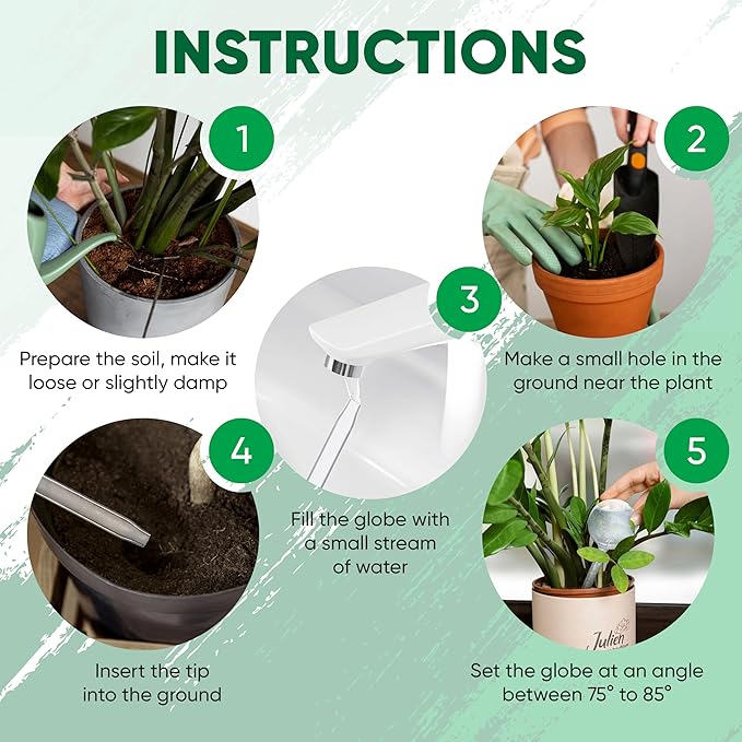 Mission Gallery Clear Plant Watering Globes Set of 6 - Large Self Watering Globes for Indoor & Outdoor Plants - Automatic, Glass Watering Bulbs for Daily Use, Plant Watering Devices