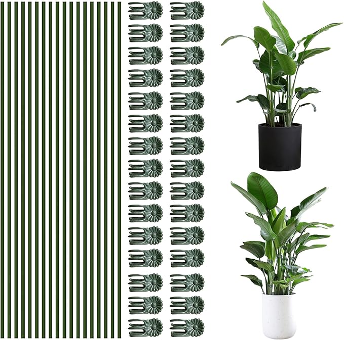 50Pcs Plant Stake Clip Set Green, Plant Sticks Supplies Support Tall, Useful Support Clips, Fine Workmanship Allow Bending Suitable for Various Plant Pots Indoors and Outdoors