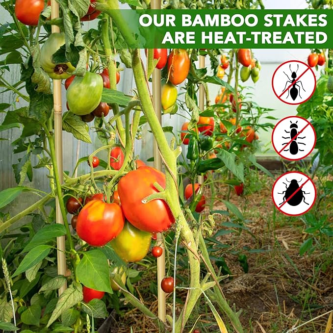 60Pcs Bamboo Stakes for Plant 4 Feet, Garden Bamboo Plant Stakes for Plants Support, Bamboo Sticks for Climbing Plants, Tomatoes, Sunflowers, Beans, Potted Plants, Trees