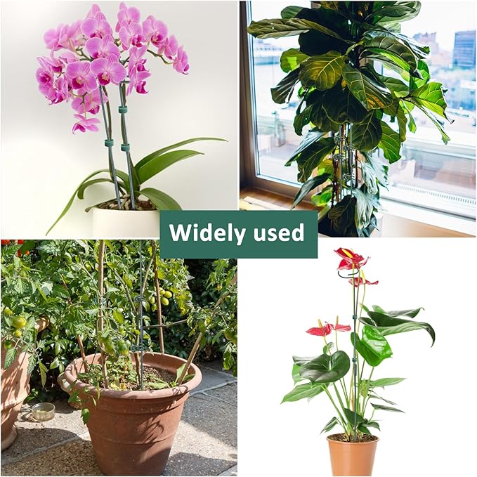 2 Set Metal Plant Sticks Support Tall 48 Inch Adjustable Plants Stem Support Rod Amaryllis Holder Stake Garden Flower Rings with 20PCS Clips 16.5' Plant Ties for Outdoor Indoor Plants