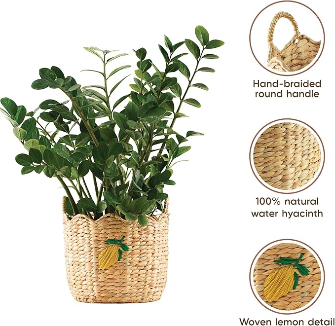 Greenatural Water Hyacinth Storage Baskets Set of 2, Handwoven Round Organizers with Wavy Edge and Embroidered Yellow Lemons, Wicker Bins with Handles for Laundry, Blankets, Plants, Bedroom, Bathroom