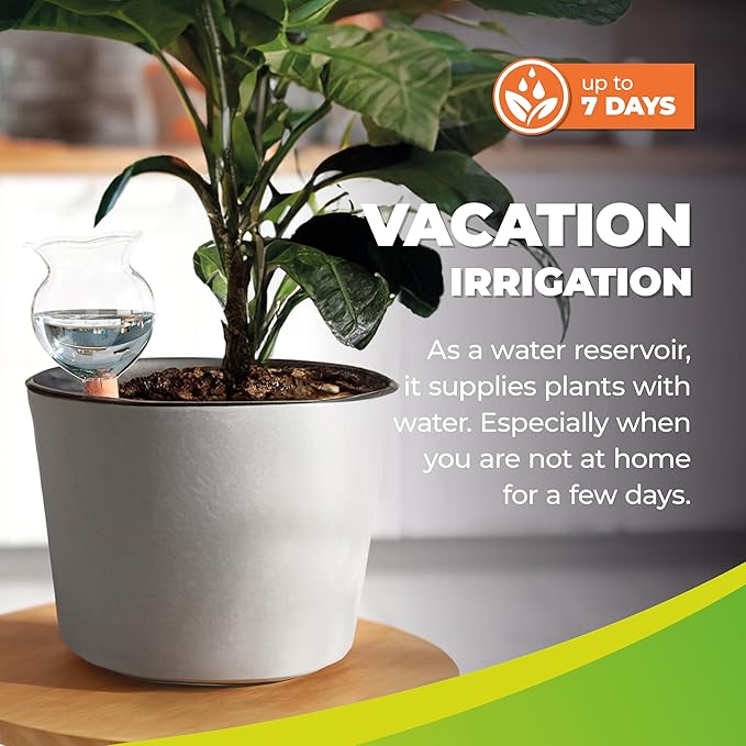 BioGreen Self Watering Globes for Plants Hydro Bloom, 12pcs Automatic Plant Watering Bulbs for Indoor and Outdoor Potted Plants, UV-Resistant Water Conservation Device