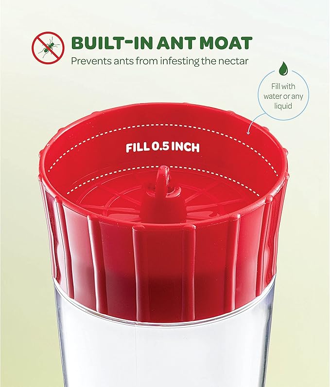 Hummingbird Feeder 10 oz Glass Hummingbird Feeders for Outdoors, with Built-in Ant Guard - Circular Perch with 5 Feeding Ports - Wide Mouth for Easy Filling/2 Part Base for Easy Cleaning