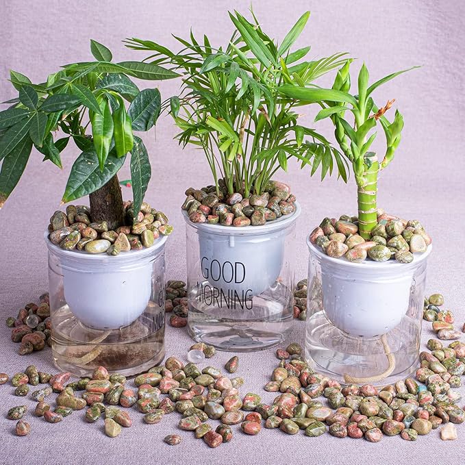 Polished Unakite Crystal Stone Set - 72 Pcs, 0.5" 10 oz Handpicked Tumbled Gemstones Rocks, Pebbles for Reiki, Chakra, Healing, Home Decor