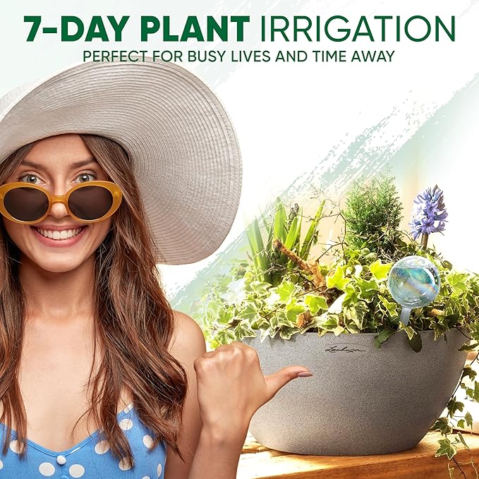 Mission Gallery Clear Plant Watering Globes Set of 6 - Large Self Watering Globes for Indoor & Outdoor Plants - Automatic, Glass Watering Bulbs for Daily Use, Plant Watering Devices