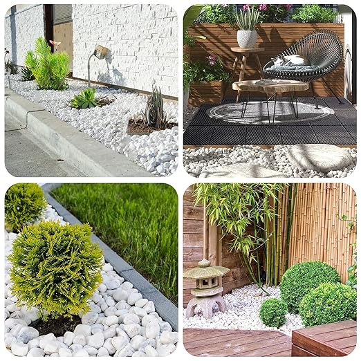 White Rocks for Plants, 2-3 Inch Large Pebbles for Indoor Plants, 5 lbs River Rocks Decorative White Stones, Ideal for Fish Tank, Vases, Crafting, Home Decor and Garden Landscaping Rocks